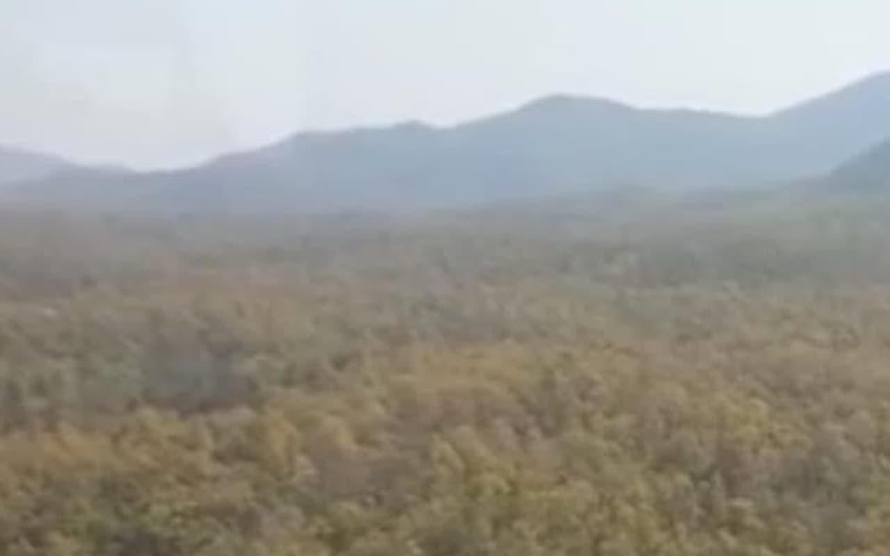 झारखंड : बूढ़ा पहाड़ में बेतला से लाये जायेंगे 50 चीतल, ईको सिस्टम को संतुलित करने की कोशिश तेज