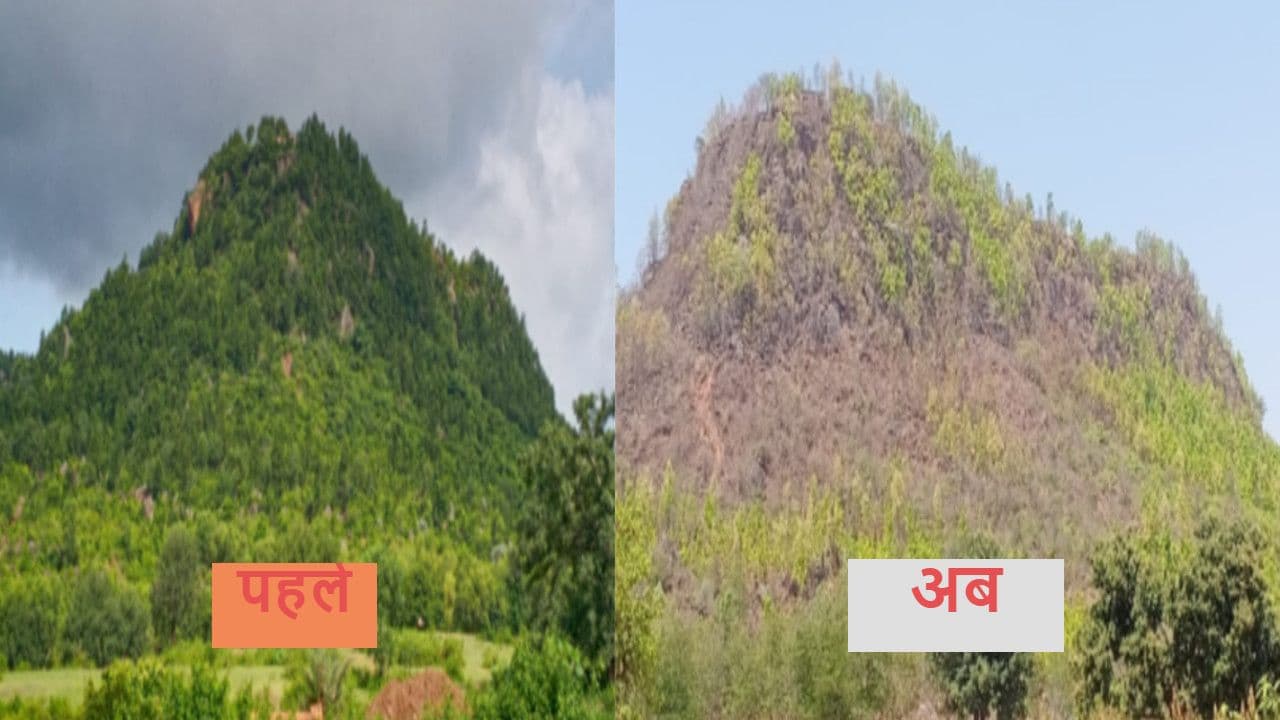World Environment Day 2021 : हजारीबाग के बड़कागांव का बुढ़वा महादेव पहाड़ की देखिये 2 तस्वीर, इसका जिम्मेवार कौन ?
