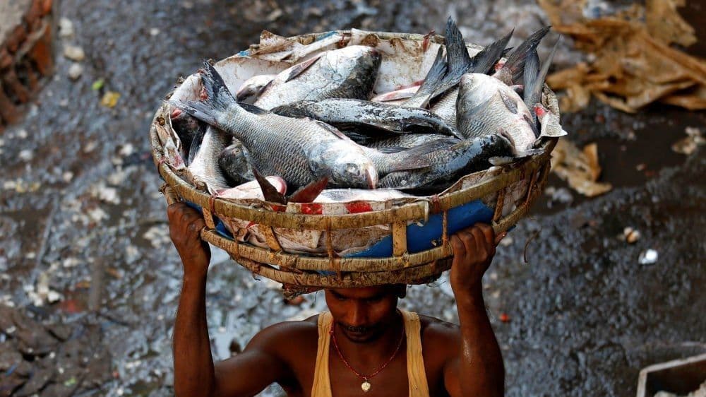 गोरखपुर में 5 एकड़ में बनकर तैयार होगा एयर कंडीशनर फिश मार्केट, जमीन तलाश रहा विभाग