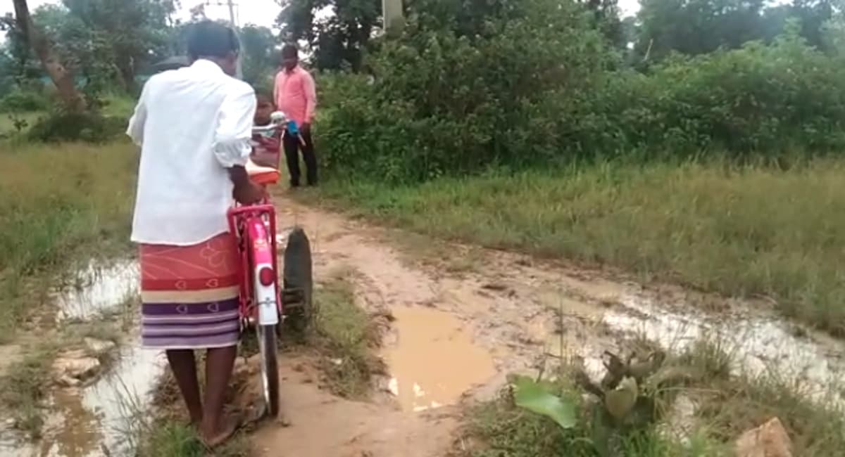 Jharkhand News : चक्रधरपुर के ऊंचीबीता गांव में नहीं है सड़क, पगडंडियों पर चलने को मजबूर हैं ग्रामीण