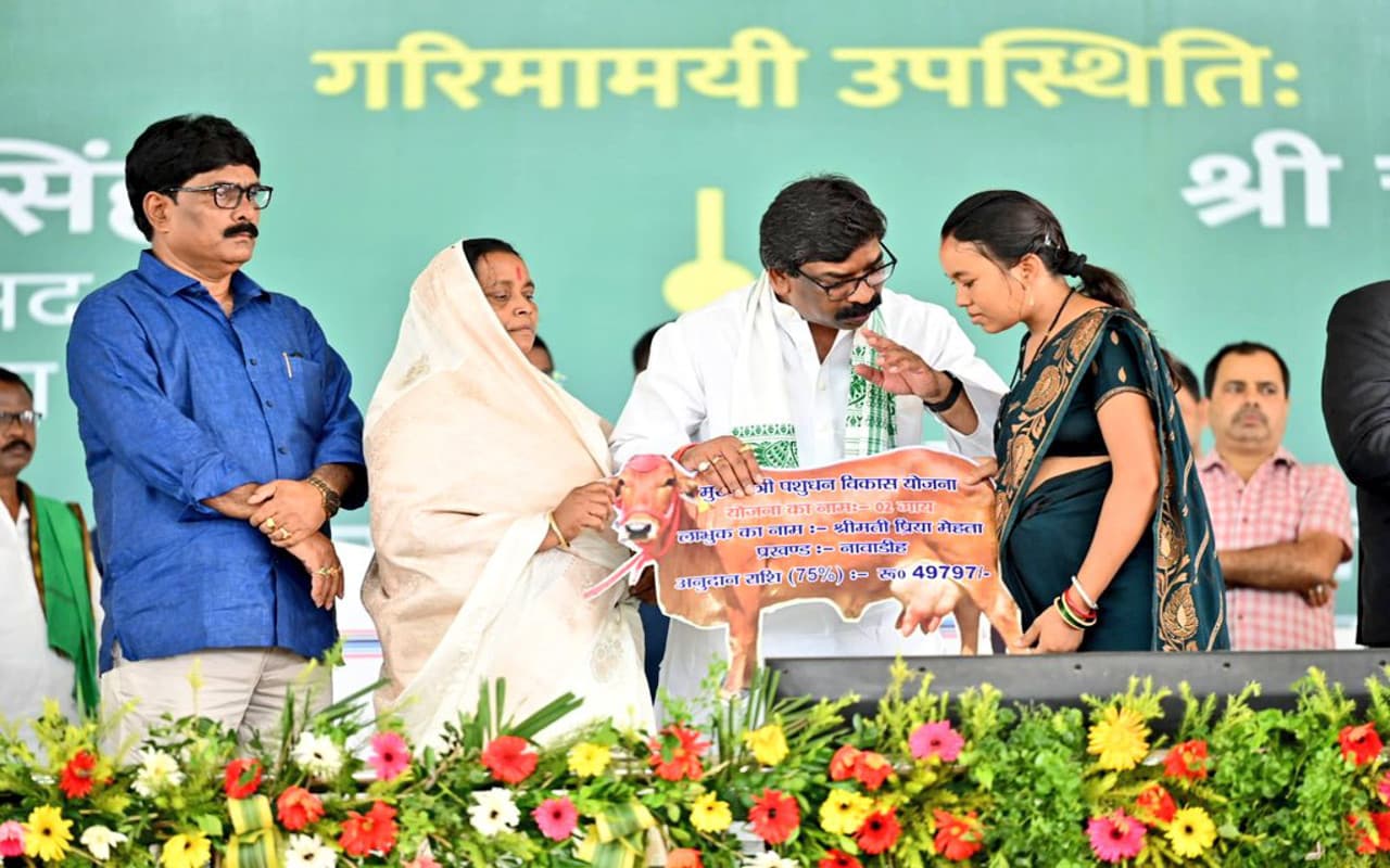 झारखंड : सीएम पशुधन विकास योजना में लाभुकों से धोखाधड़ी, सरकार से मिली गाय दे रही सिर्फ दो लीटर दूध