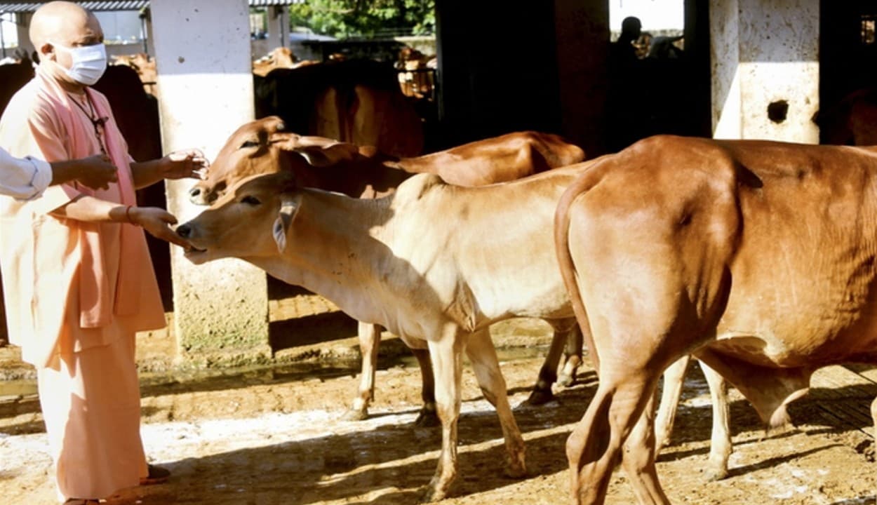 गोरखपुर से चुनाव लड़ेंगे योगी आदित्यनाथ, चुनाव 2022 में सभी दिग्गज एमएलसी नेताओं को मैदान में उतारेगी भाजपा