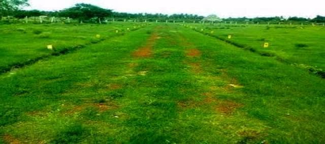 पूर्वी सिंहभूम के 12 अंचलों के जमीन की रजिस्ट्री शुल्क में हुई बढ़ोतरी, अगले दो साल के लिए होगी प्रभावी