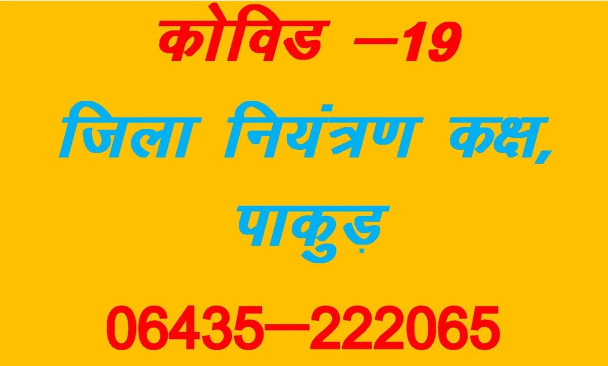 Coronavirus से बचाव के लिए ग्राम व पंचायत स्तर पर समिति बनी, टाउनहॉल, होटल को बना सकते हैं आइसोलेशन वार्ड