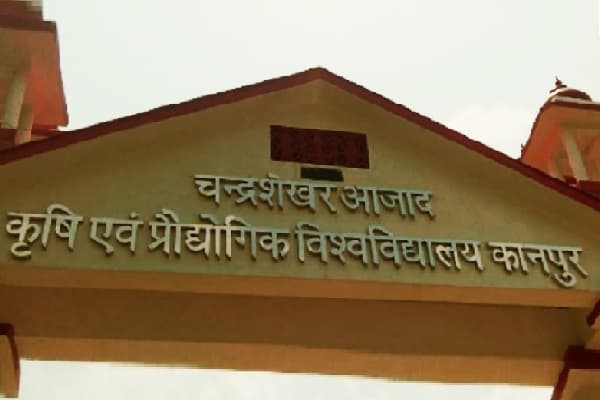 Kanpur के चन्द्रशेखर आजाद कृषि विश्वविद्यालय में छात्र को गाली दी, मुर्गा न बनने पर पीटा, कमेटी ने बयान दज किए