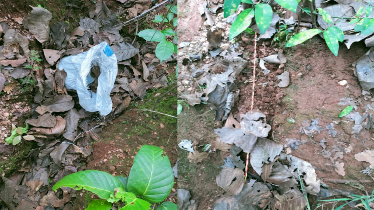 स्वतंत्रता दिवस पर नक्सलियों के मंसूबों को पुलिस ने किया विफल, बोकारो के जंगल से 20 किलो का केन बम बरामद