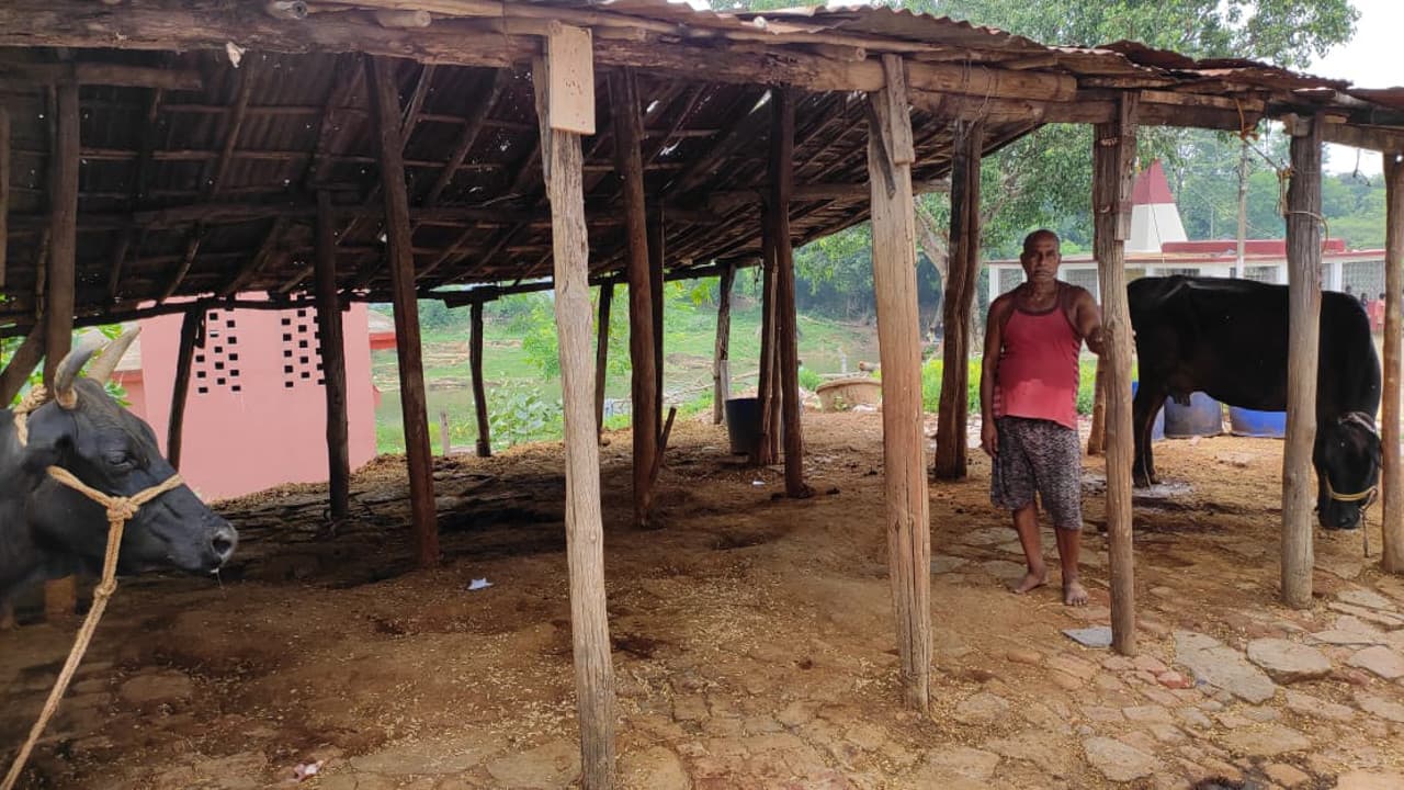 राजधानी में चल रहे खटालों को नगड़ी व होटवार में किया जायेगा शिफ्ट, इससे पहले होगा सर्वे