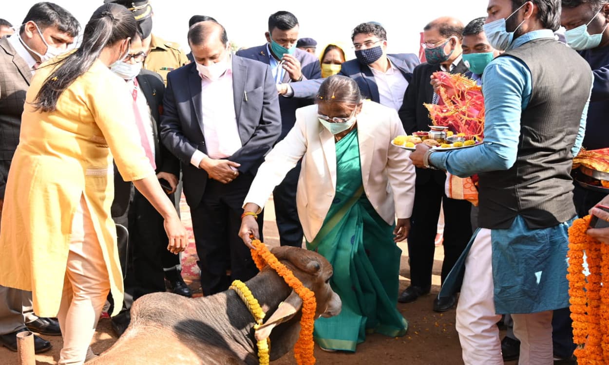 चाकुलिया पहुंची झारखंड की राज्यपाल द्रौपदी मुर्मू, बोली- अधिक से अधिक लोग गौ पालन से जुड़ें