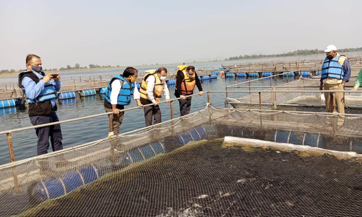 बिहार के फिशरीज डायरेक्टर धर्मेंद्र कुमार पहुंचे चांडिल डैम, बोले- केज में मत्स्य पालन के तरीके को राज्य भी अपनायेगा