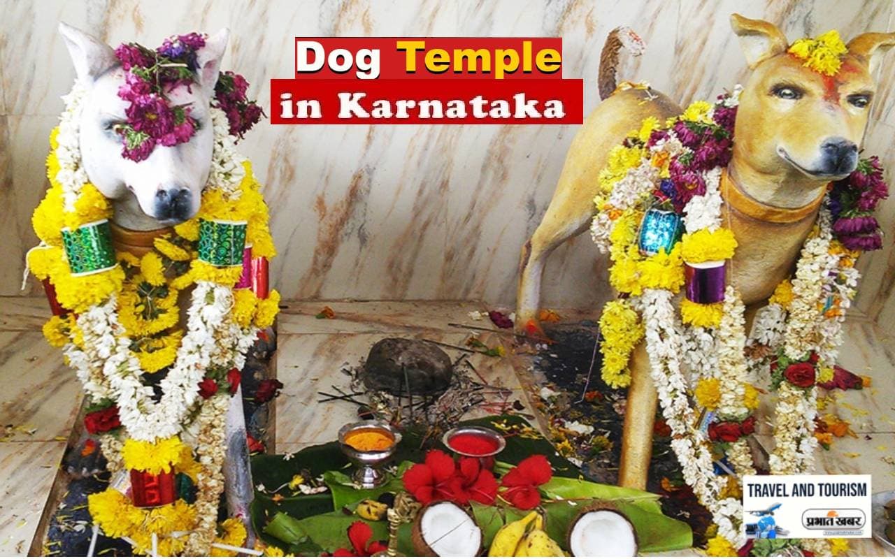 Channapatna Dog Temple: कुत्तों की होती है इस अनोखे मंदिर में पूजा, जानें कहां हैं और कैसे पहुंचे