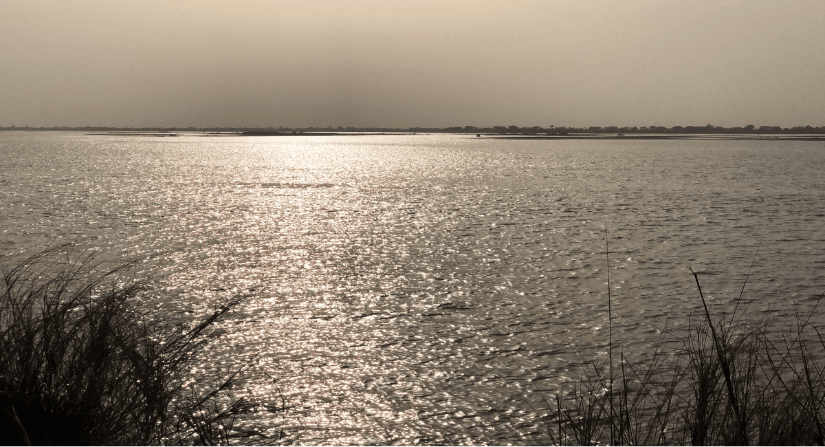 भारत में आतंकी हमलों के लिए नदी-नालों के जरिए ड्रोन भेज रहा पाकिस्तान, पहले भी कर चुका है ऐसी हरकत