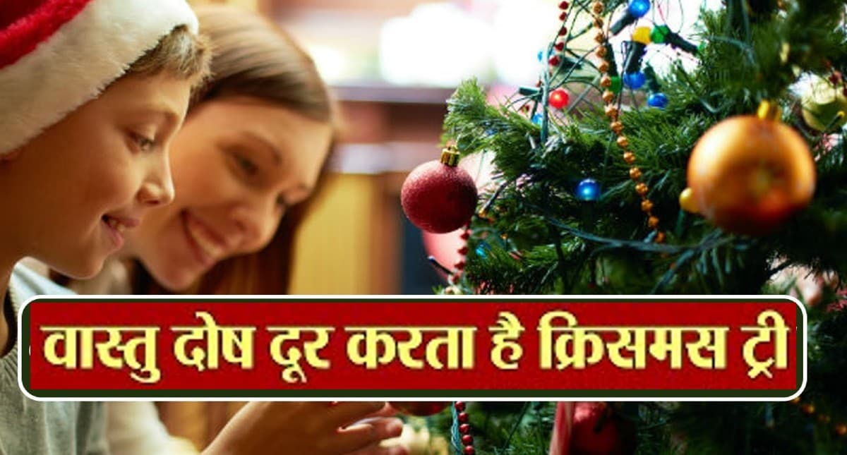 Cristmas Tree Vastu Tips: क्रिसमस ट्री रखने से होते हैं ये फायदे, दूर होता है वास्तु दोष, आप भी जानें