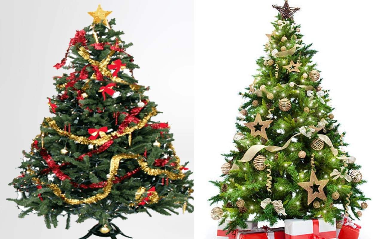 Christmas Tree Vastu Tips: अपने घर में लगाएं इस शेप के क्रिसमस ट्री, खुल जायेंगे तरक्की के रास्ते