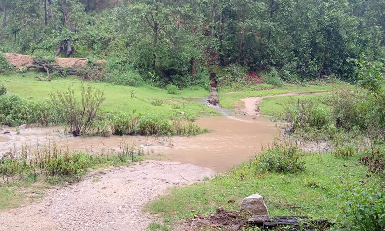 गुमला के उग्रवाद प्रभावित बिलिंबिरा पंचायत में नहीं बनी सड़क और पुलिया, आधा दर्जन गांव प्रभावित