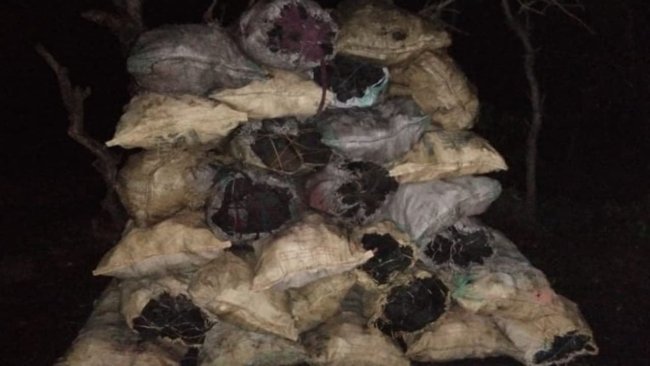 धनबाद के रामकनाली में अवैध कोयला तस्करी का भंडाफोड़,100 बोरी कोयला जब्त