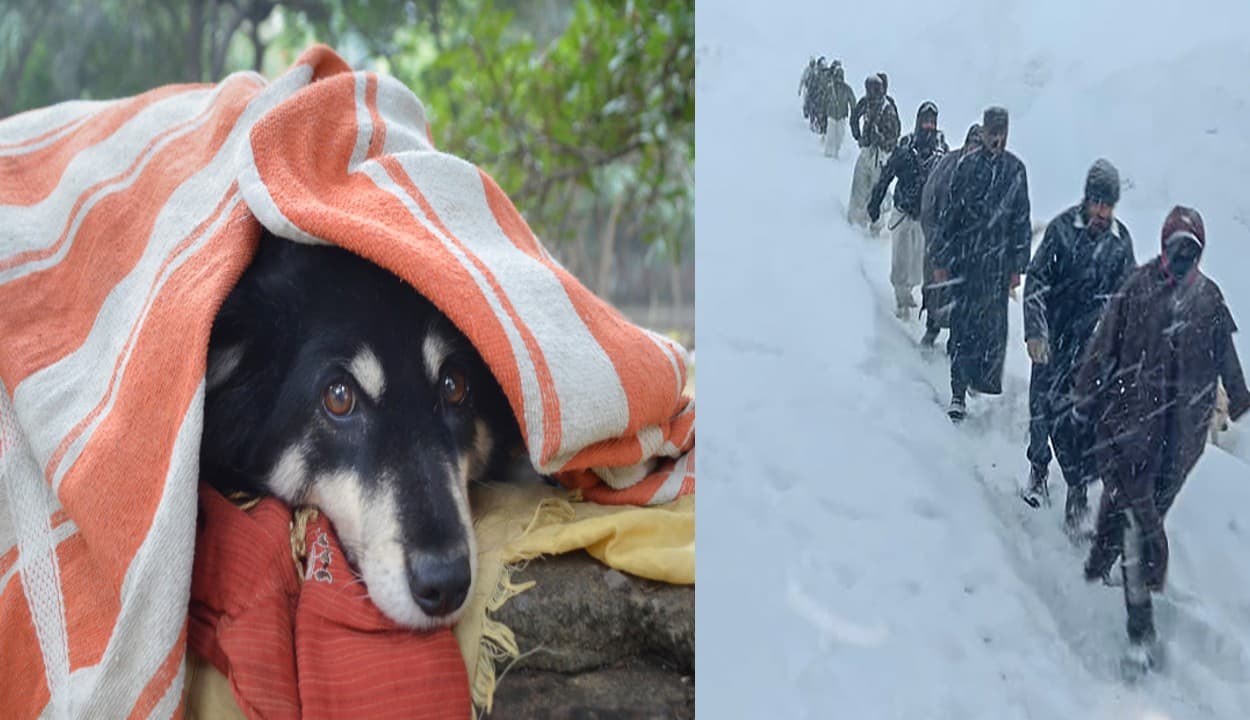 Weather Forecast LIVE Updates : राजस्थान की करौली में पारा 3.9 डिग्री सेल्सियस दर्ज