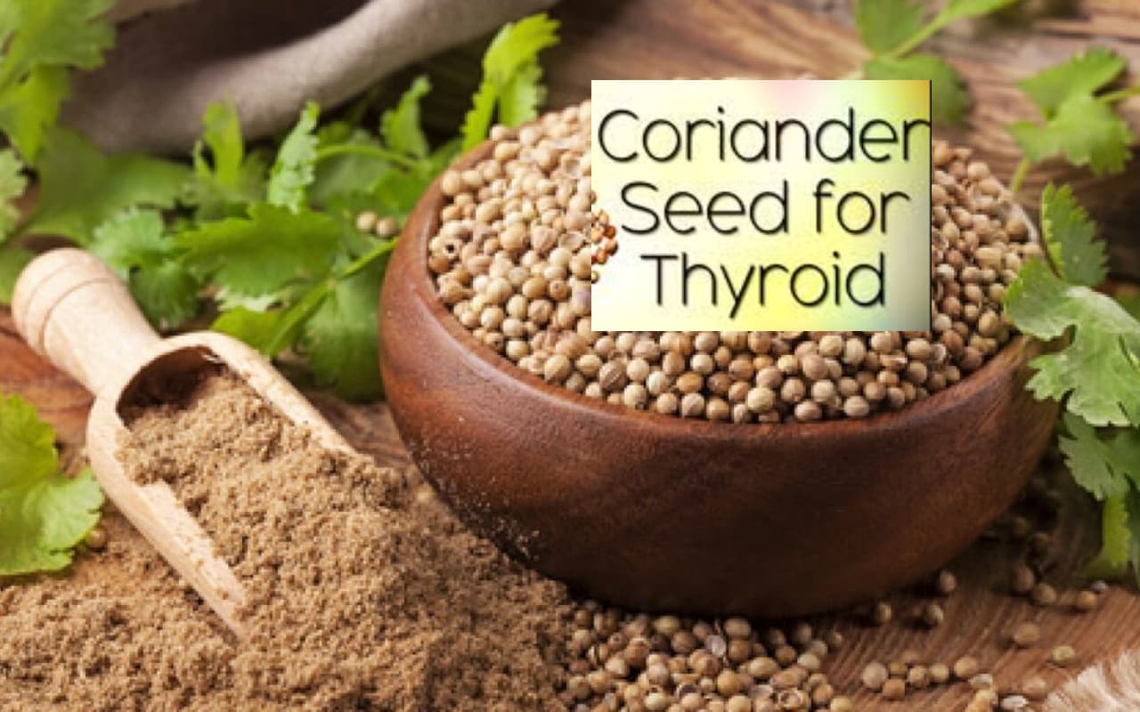 Thyroid Management का बेस्ट नैचुरल तरीका है धनिया, जानें इसके फायदे और इस्तेमाल का तरीका