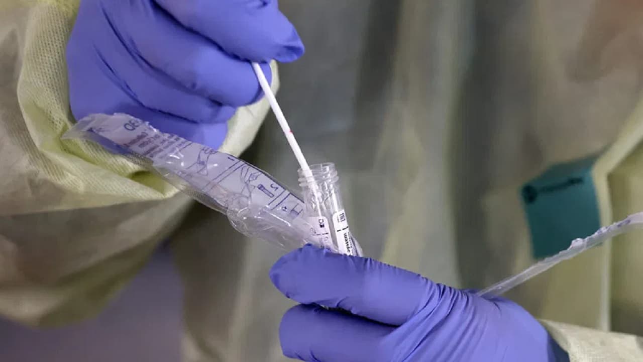 Corona In Bihar: गया में दो और विदेशी मिले कोरोना संक्रमित, पांच स्थानीय समेत 19 पर पहुंचा आंकड़ा