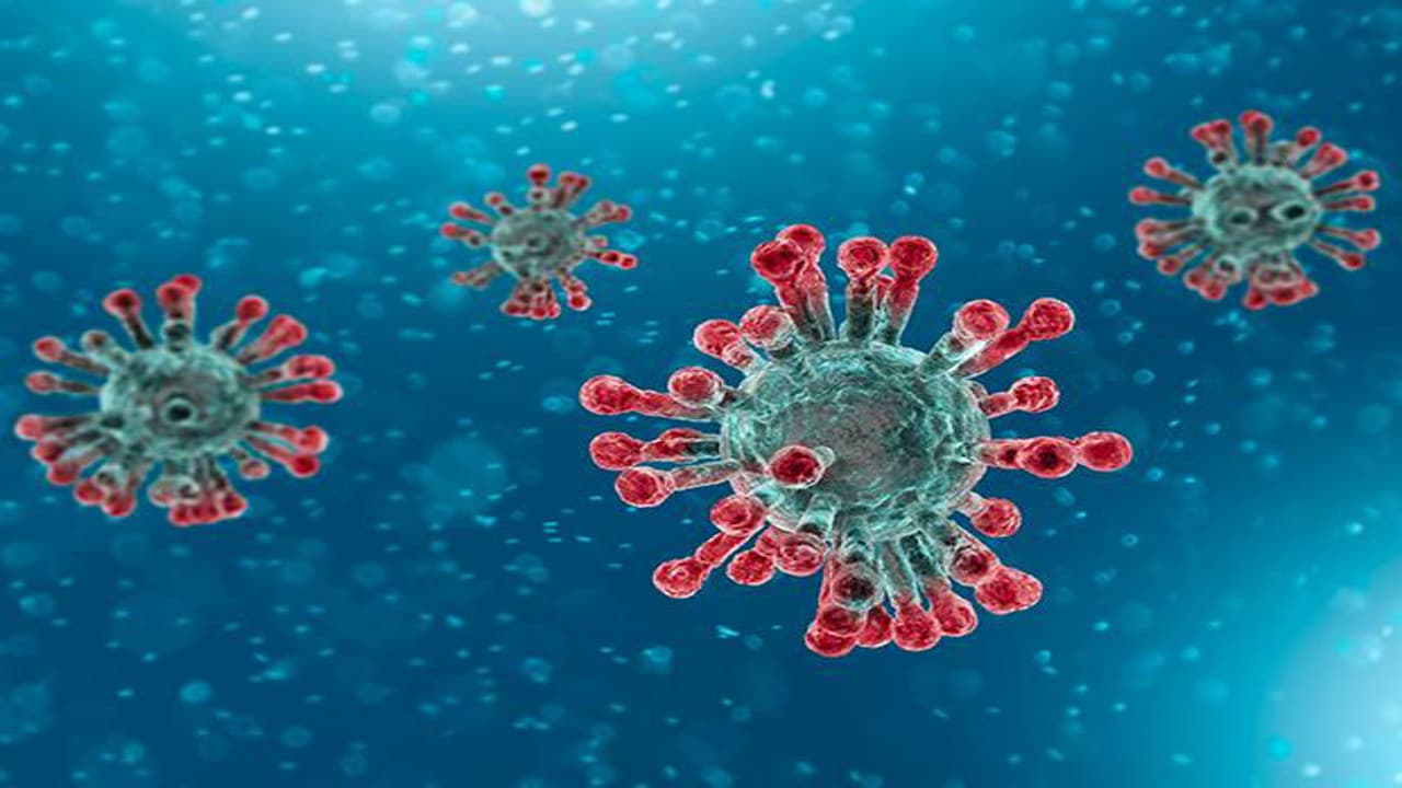 Coronavirus Update News : झारखंड में बढ़ने लगी कोरोना संक्रमितों की संख्या, एक सप्ताह में 1500 से पार हुआ आंकड़ा, बरतें सावधानी