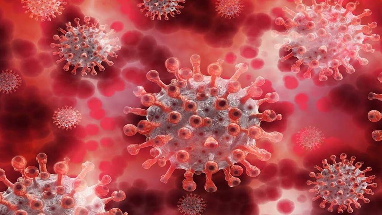 Coronavirus Update News : कोरोना की दूसरी लहर में पश्चिमी सिंहभूम जिले में 134 लोगों की हुई मौत, सिर्फ सदर हॉस्पिटल में भर्ती 391 में 105 लोगों की गयी जान, अब होगा सामाजिक- आर्थिक सर्वेक्षण
