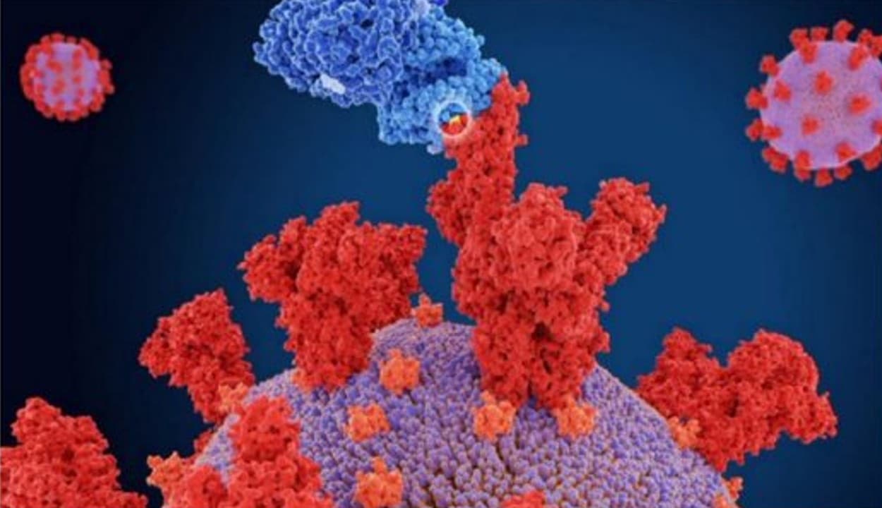 Jharkhand: राज्य में एक दिन में कोरोना के 190 नए मरीज, रांची का आंकड़ा 399 पहुंचा