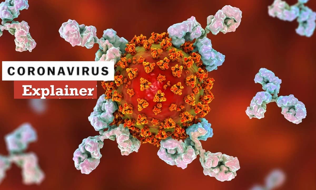 Coronavirus Explainer: डायरिया हो सकता है कोविड 19 का पहला लक्षण ? शोध में कही गई ये बात