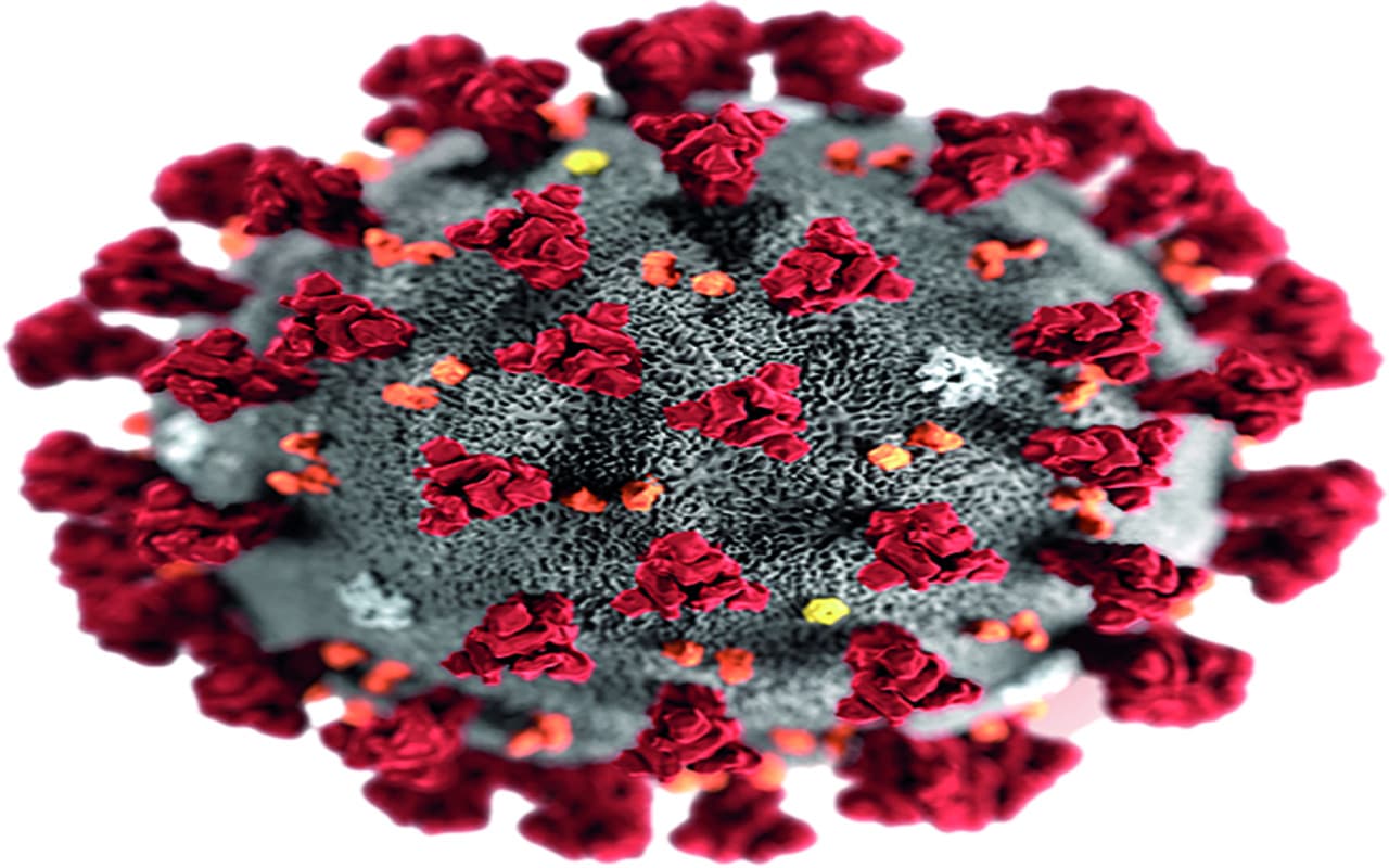 Odisha News: सुंदरगढ़ जिले में बढ़ा कोरोना, संक्रमण दर 14 प्रतिशत पार