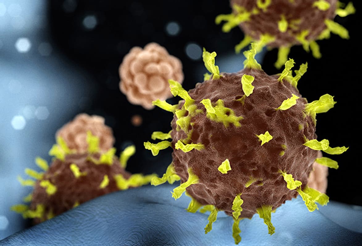 Coronavirus in Bihar : कोरोना से 10 वर्ष के बच्चे समेत तीन की मौत, जानें कितने हुए डिस्चार्ज