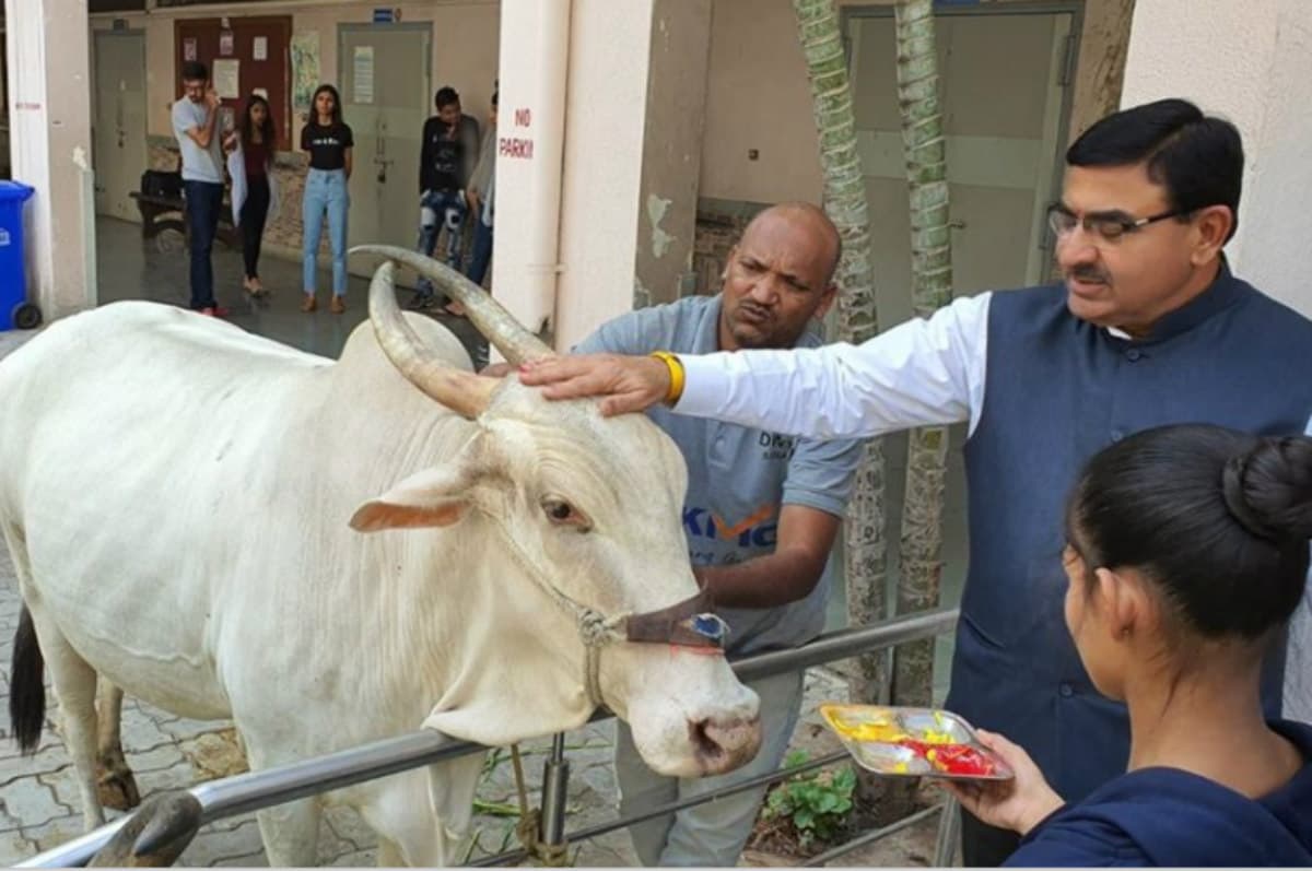 Cow Science Exam 2021: देश में पहली बार होने जा रही है गौ विज्ञान पर ऑनलाइन परीक्षा, आप भी ले सकते हैं भाग