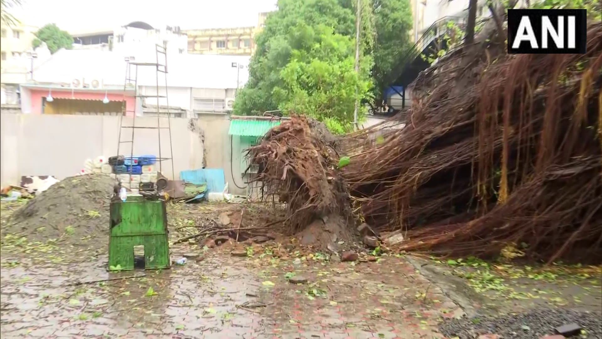 Cyclone Biparjoy: बिपरजॉय का विकराल रूप, इन राज्यों में होगी झमाझम बारिश