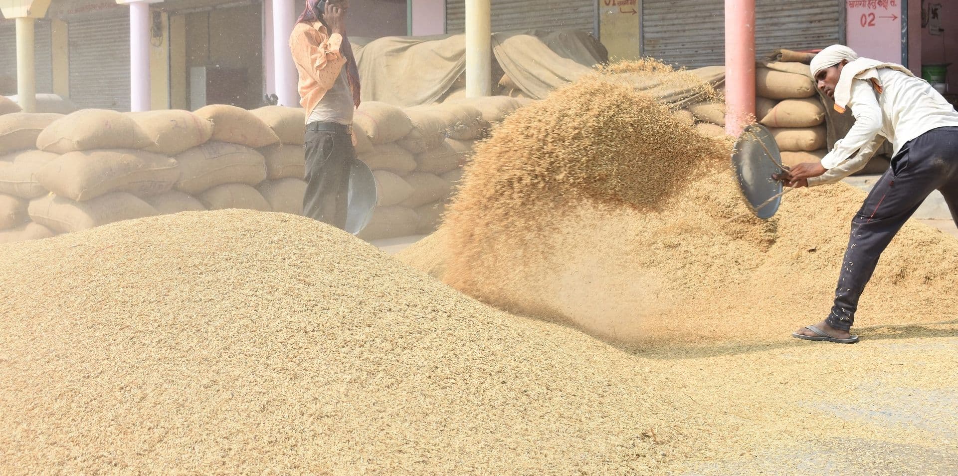 गढ़वा के भवनाथपुर में नहीं खुला धान क्रय केंद्र, औने पौने दाम पर बेचने को मजबूर हैं किसान