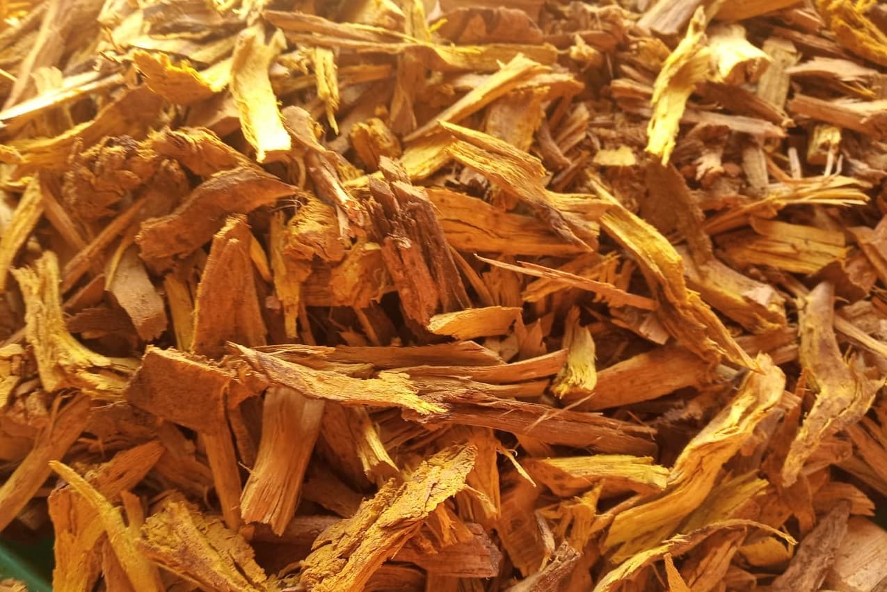 Daruharidra Benefits: त्वचा संबंधी रोगों से मिलेगा छुटकारा, जानें दारूहरिद्रा के फायदे और सेवन का उपाय