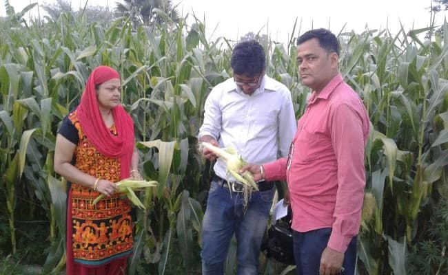 कोरोनाकाल में बिहार सरकार ने किसान सलाहकारों को दिखा तोहफा, मानदेय और सुविधाओं को बढ़ाया, जानें अब कितने पैसे मिलेंगे