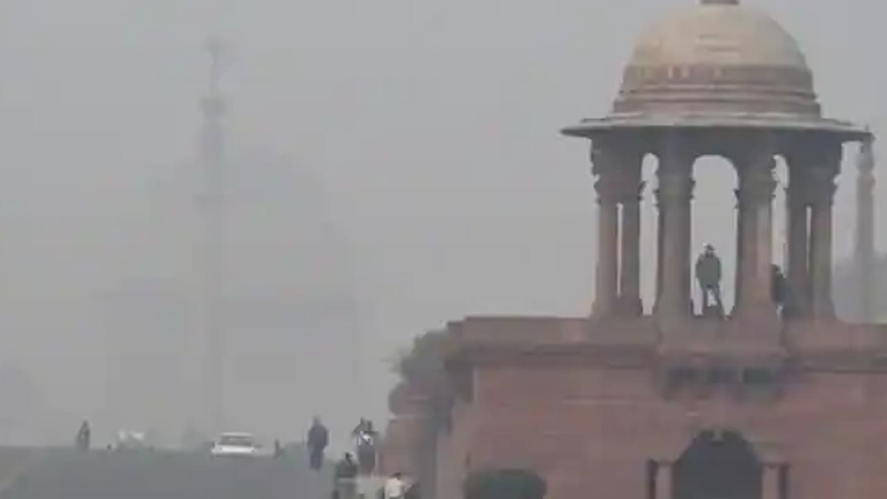 Delhi Weather: दिल्ली में ठंड से 106 लोगों की मौत, एनजीओ के दावे पर जानें अधिकारियों ने क्या कहा...