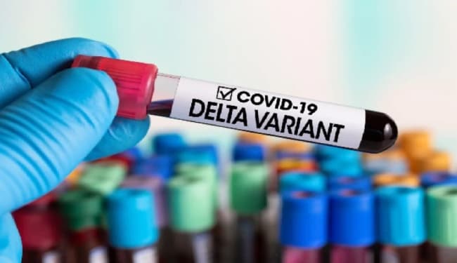 चेचक की तरह अत्यधिक तेजी और आसानी से फैल सकता है कोरोना वायरस का डेल्टा संस्करण : स्टडी