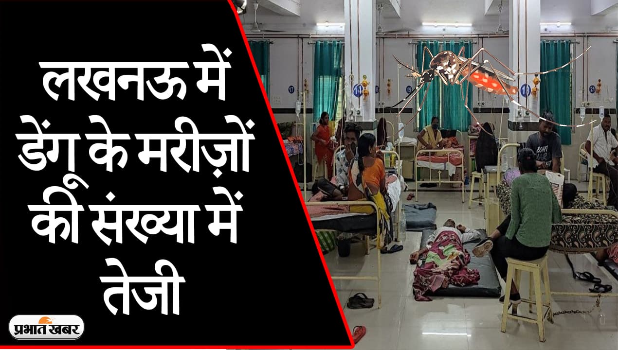 UP News: लखनऊ के सिविल अस्पताल में बढ़े डेंगू के मरीज, गंदगी के अंबार में चल रहा इलाज, ग्राउंड रिपोर्ट