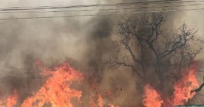 उत्तर 24 परगना में लकड़ी गोदाम जल कर खाक, जांच में जुटी पुलिस