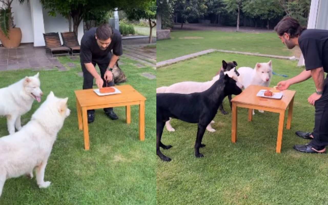 एमएस धोनी ने अपने खास 'दोस्तों' के साथ काटा बर्थडे केक, इंस्टाग्राम पर पोस्ट किया वीडियो