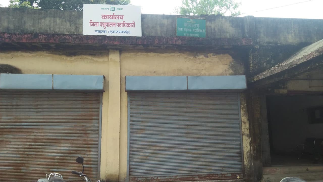 बिना वेटनरी डॉक्टर के ही गढ़वा में हो रहा जानवरों का इलाज, जिले में बढ़ी झोला छाप डॉक्टर्स की मांग