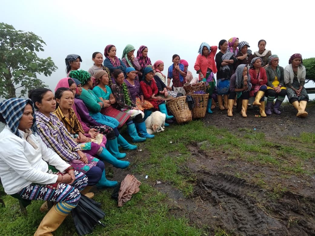 Bengal Election News: उत्तर बंगाल में  जिनके साथ होंगे 4.5 लाख चाय श्रमिक, वही मारेगा बाजी