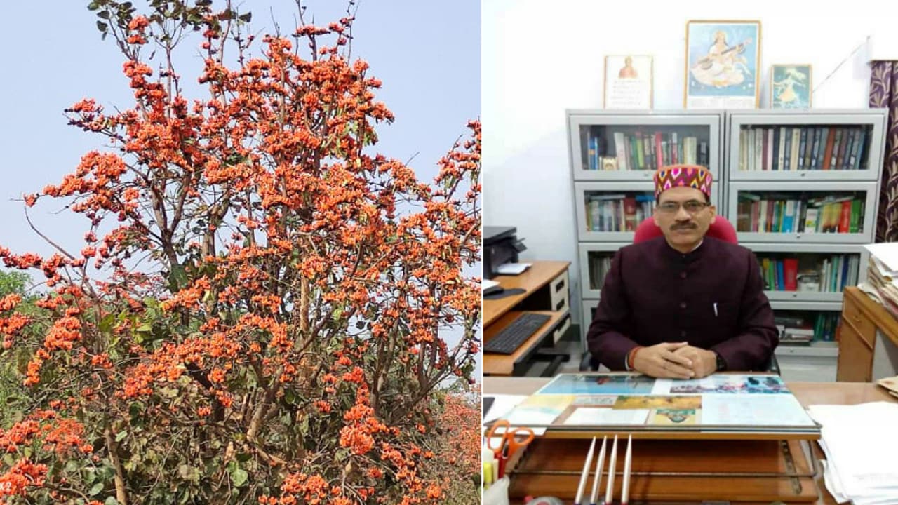 Happy Holi 2021 : प्राकृतिक रंग शरीर को नहीं पहुंचायेगा नुकसान, डॉ रामलखन बोले- रासायनिक रंग कभी प्राकृतिक रंगों का नहीं हो सकता विकल्प