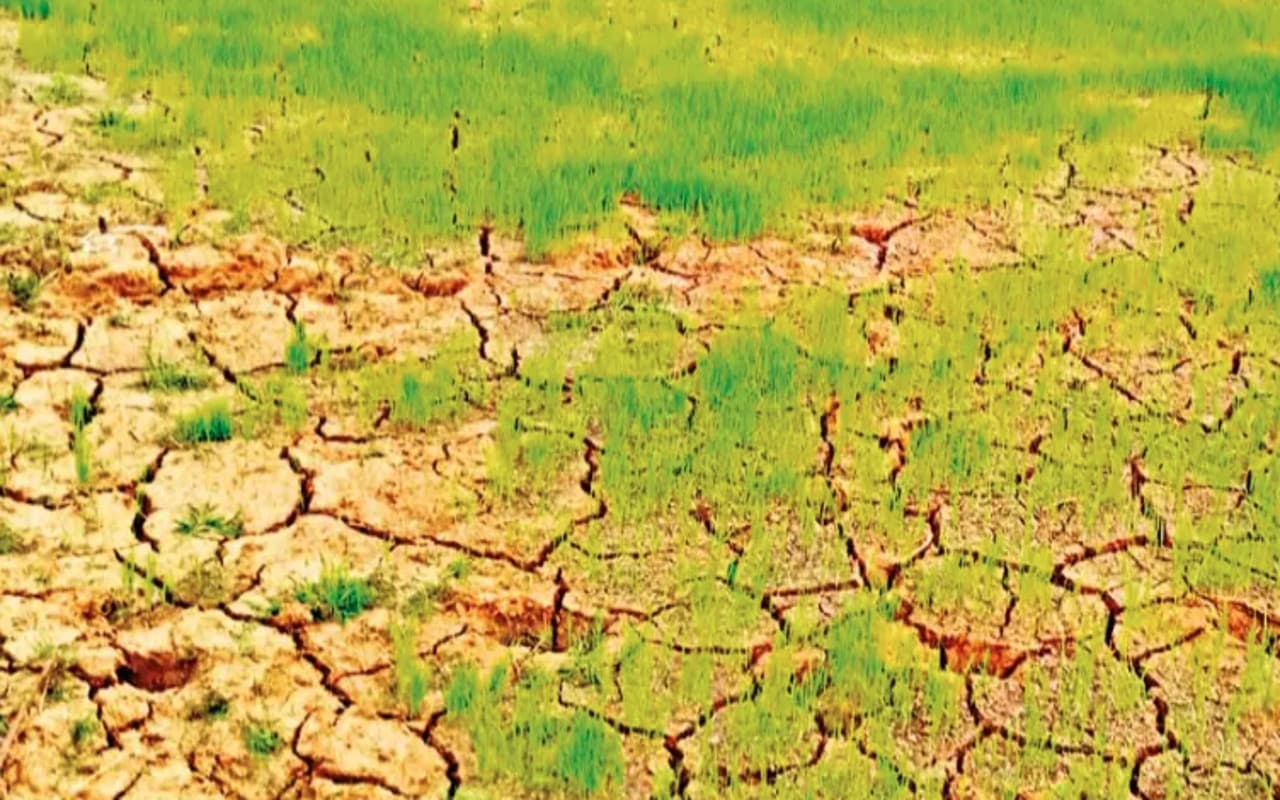 बिहार में बढ़ती गर्मी के कारण महामारी समिति हुई सक्रिय, सभी जिलों में सुखाड़ क्षेत्र चिह्नित करने के निर्देश