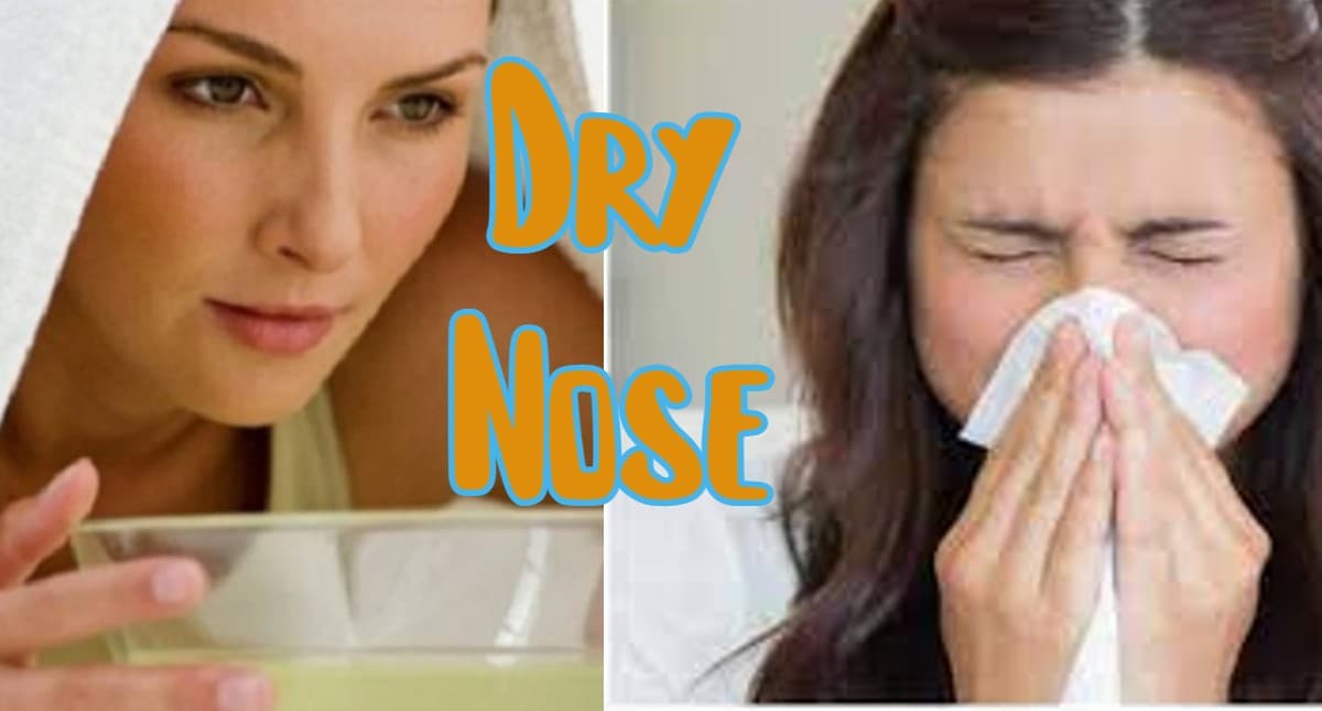 Dry Nose: गर्मियों में सूखी नाक की समस्या से परेशान हैं? इन घरेलू नुस्खों से पाएं छुटकारा