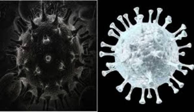 'व्हाइट फंगस' सामान्य फंगल इंफेक्शन, ब्लैक फंगस ज्यादा खतरनाक : विशेषज्ञ