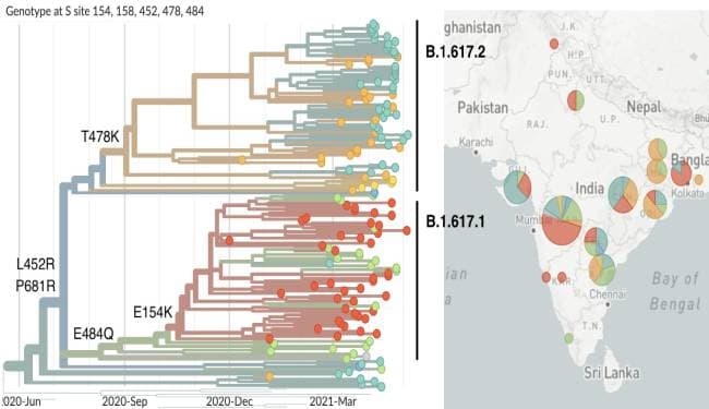WHO ने B.1.617 वेरिएंट को भारतीय संस्करण नहीं कहा : केंद्र सरकार