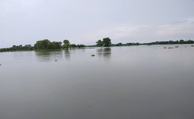 Flood In Bihar: नेपाल में रुक-रुक कर हो रही बारिश ने बिहार के इन जिलों में बढ़ाई टेंशन, गंडक-बागमती उफान पर