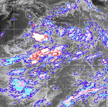 IMD ने मुंबई के लिए जारी किया रेड अलर्ट, अगले 24 घंटे में होगी आफत की बारिश, जानें अन्य शहरों का हाल