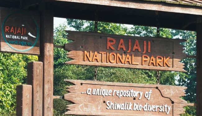 राजाजी टाइगर रिजर्व : साप्ताहिक छुट्टी पर उमड़े सैलानी, दिल्ली, पंजाब, हरियाणा समेत कई राज्यों से पहुंचे पर्यटक