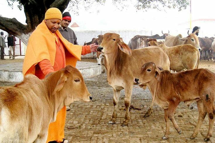 सीएम योगी : मंदिर के मंहत से लेकर देश के बड़े सूबे के मुख्यमंत्री तक, कुछ ऐसा है उनका सियासी सफर