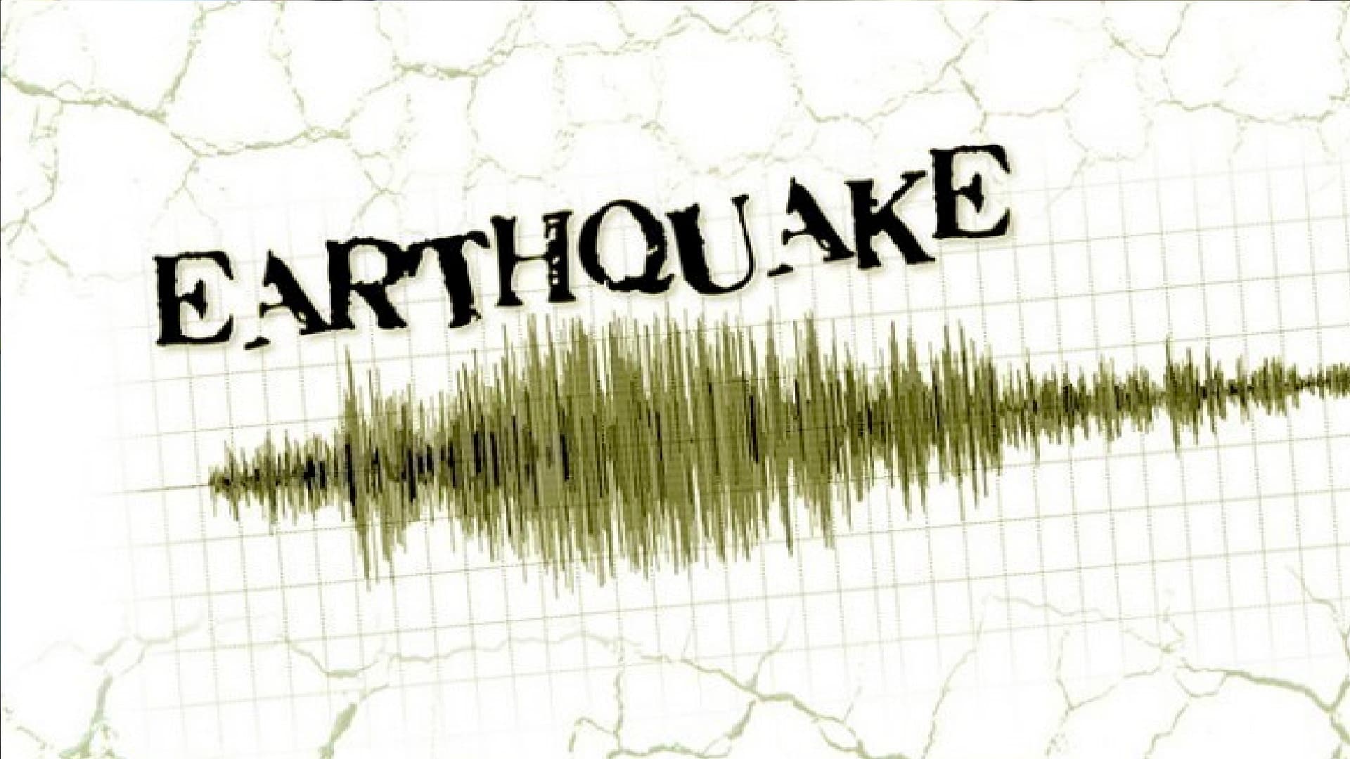 Earthquake: दिल्ली NCR में लगे भूकंप के तेज झटके, तीव्रता 5.8, अफगानिस्तान के हिंदुकुश में था केंद्र